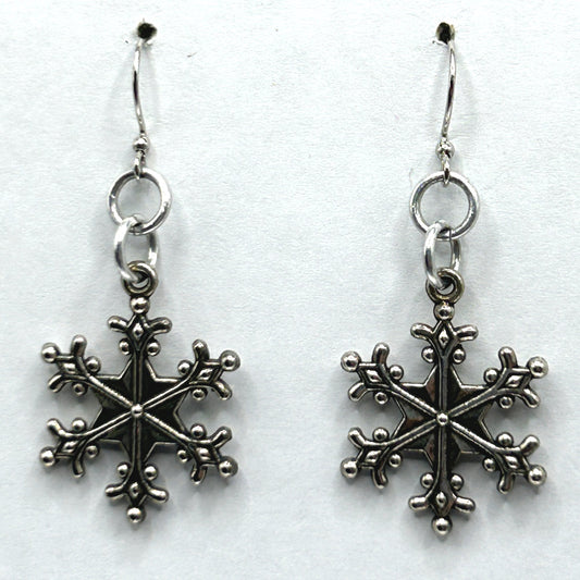 Large Metal Snowflake Earrings