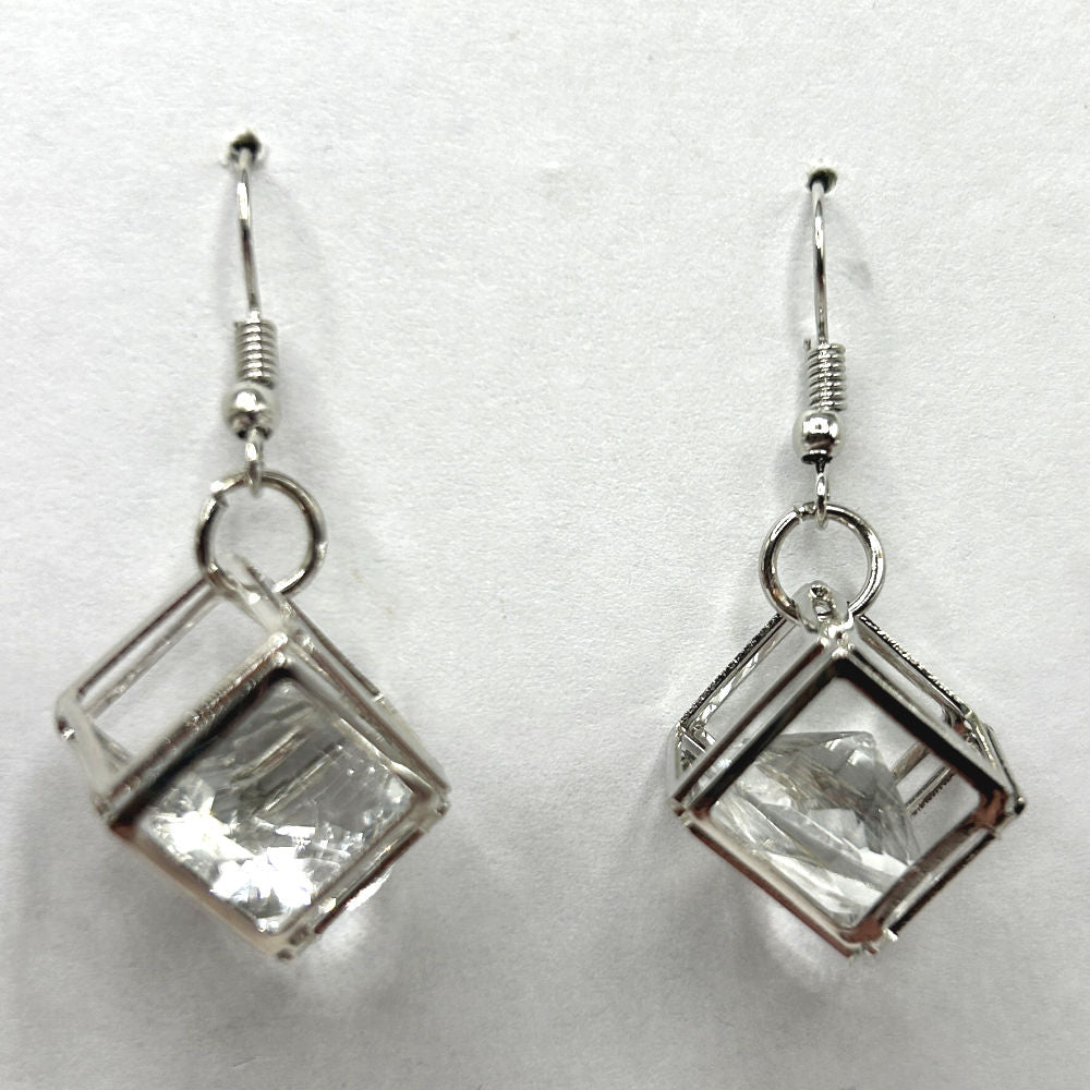 Large Caged Sparkle Earrings