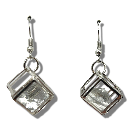 Large Caged Sparkle Earrings