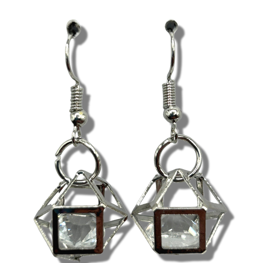 Small Caged Sparkle Earrings