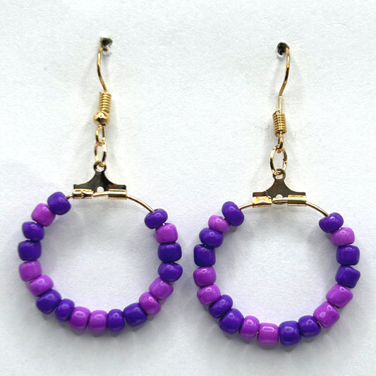 Small Light and Dark Purple Loop Earrings